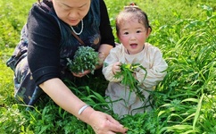 迈开腿想吃你的水蜜桃